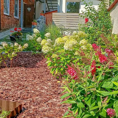 2 In Altstadt Apartment *